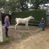 Illustration DERNIERE RANDONNEE DE L'AACBB LE 25/10/2014 PLOUBALAY-TREMEREUC-PLOUBALAY