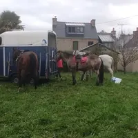 Illustration Randonnée ST LUNAIRE