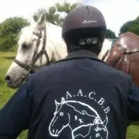 Illustration SUITE RANDONNEE A  GUICHEN LE 11 ET 12 06 2011