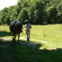 Illustration RANDONNEE  A SAINT LUNAIRE LE 26 JUIN 2011
