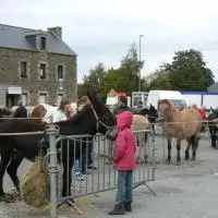 Illustration FOIRE AUX ANES LE 17/09/2011