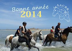 Illustration Bonne année 2014